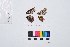  ( - VR0370)  @11 [ ] Copyright (2018) Raluca Voda Universita degli Studi di Torino, Department of Life Sciences and Systems Biology