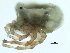  ( - CNC-IMS090103.001)  @12 [ ] CreativeCommons - Attribution (2010) CBG Photography Group Centre for Biodiversity Genomics