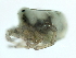  ( - CNC-IMS090103.002)  @13 [ ] CreativeCommons - Attribution (2010) CBG Photography Group Centre for Biodiversity Genomics