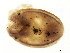  ( - CNC-IMS090095.059)  @12 [ ] CreativeCommons - Attribution (2010) CBG Photography Group Centre for Biodiversity Genomics