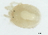  ( - CNC-IMS090097.057)  @12 [ ] CreativeCommons - Attribution (2010) CBG Photography Group Centre for Biodiversity Genomics