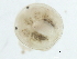  ( - CNC-IMS090097.069)  @14 [ ] CreativeCommons - Attribution (2010) CBG Photography Group Centre for Biodiversity Genomics