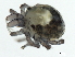 ( - CNC-IMS090099.006)  @14 [ ] CreativeCommons - Attribution (2010) CBG Photography Group Centre for Biodiversity Genomics