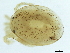  ( - CNC-IMS090100.036)  @13 [ ] CreativeCommons - Attribution (2010) CBG Photography Group Centre for Biodiversity Genomics