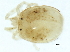  ( - CNC-IMS090101.083)  @11 [ ] CreativeCommons - Attribution (2010) CBG Photography Group Centre for Biodiversity Genomics