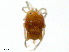  ( - AP2r160614Ar3258)  @11 [ ] CreativeCommons - Attribution (2016) CBG Photography Group Centre for Biodiversity Genomics