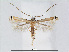  (Melanocercops - RMNH.5007934)  @13 [ ] CreativeCommons - Attribution Non-Commercial Share-Alike (2015) Unspecified Naturalis Biodiversity Centre