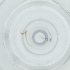  ( - WOXF_015_A2)  @11 [ ] by  Genome Research Ltd as Wellcome Sanger Institute Genome Research Limited operating as Wellcome Sanger Institute