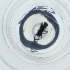  ( - WOXF_020_C7)  @11 [ ] by  Genome Research Ltd as Wellcome Sanger Institute Genome Research Limited operating as Wellcome Sanger Institute