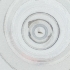  ( - WOXF_020_F9)  @11 [ ] by  Genome Research Ltd as Wellcome Sanger Institute Genome Research Limited operating as Wellcome Sanger Institute