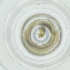  ( - WOXF_021_A8)  @11 [ ] by  Genome Research Ltd as Wellcome Sanger Institute Genome Research Limited operating as Wellcome Sanger Institute