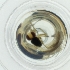  ( - WOXF_021_E5)  @11 [ ] by  Genome Research Ltd as Wellcome Sanger Institute Genome Research Limited operating as Wellcome Sanger Institute