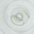  ( - WOXF_024_H2)  @11 [ ] by  Genome Research Ltd as Wellcome Sanger Institute Genome Research Limited operating as Wellcome Sanger Institute