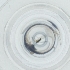  ( - WOXF_025_B4)  @11 [ ] by  Genome Research Ltd as Wellcome Sanger Institute Genome Research Limited operating as Wellcome Sanger Institute