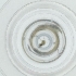  ( - WOXF_025_D6)  @11 [ ] by  Genome Research Ltd as Wellcome Sanger Institute Genome Research Limited operating as Wellcome Sanger Institute