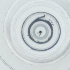  ( - WOXF_026_A11)  @11 [ ] by  Genome Research Ltd as Wellcome Sanger Institute Genome Research Limited operating as Wellcome Sanger Institute