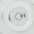  ( - WOXF_026_B3)  @11 [ ] by  Genome Research Ltd as Wellcome Sanger Institute Genome Research Limited operating as Wellcome Sanger Institute