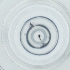  ( - WOXF_027_A4)  @11 [ ] by  Genome Research Ltd as Wellcome Sanger Institute Genome Research Limited operating as Wellcome Sanger Institute