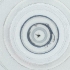  ( - WOXF_027_D8)  @11 [ ] by  Genome Research Ltd as Wellcome Sanger Institute Genome Research Limited operating as Wellcome Sanger Institute