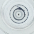  ( - WOXF_028_B7)  @11 [ ] by  Genome Research Ltd as Wellcome Sanger Institute Genome Research Limited operating as Wellcome Sanger Institute