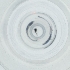  ( - WOXF_028_E1)  @11 [ ] by  Genome Research Ltd as Wellcome Sanger Institute Genome Research Limited operating as Wellcome Sanger Institute
