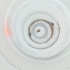  ( - WOXF_028_F12)  @11 [ ] by  Genome Research Ltd as Wellcome Sanger Institute Genome Research Limited operating as Wellcome Sanger Institute