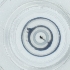  ( - WOXF_029_A3)  @11 [ ] by  Genome Research Ltd as Wellcome Sanger Institute Genome Research Limited operating as Wellcome Sanger Institute
