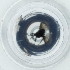  ( - WOXF_030_A3)  @11 [ ] by  Genome Research Ltd as Wellcome Sanger Institute Genome Research Limited operating as Wellcome Sanger Institute