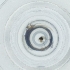 ( - WOXF_031_A2)  @11 [ ] by  Genome Research Ltd as Wellcome Sanger Institute Genome Research Limited operating as Wellcome Sanger Institute