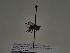  ( - TJW_088)  @11 [ ] nrr (2021) Unspecified Thomas Wood