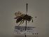  ( - TJW_106)  @11 [ ] nrr (2021) Unspecified Thomas Wood