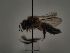  ( - TJW_193)  @11 [ ] nrr (2021) Unspecified Thomas Wood
