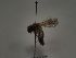  ( - TJW_194)  @11 [ ] nrr (2021) Unspecified Thomas Wood