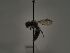  ( - TJW_197)  @11 [ ] nrr (2021) Unspecified Thomas Wood