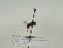  ( - TJW_230)  @11 [ ] nrr (2021) Unspecified Thomas Wood