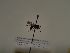  ( - TJW_315)  @11 [ ] nrr (2021) Unspecified Thomas Wood