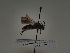  ( - TJW_413)  @11 [ ] nrr (2021) Unspecified Thomas Wood