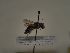  ( - TJW_498)  @11 [ ] nrr (2021) Unspecified Thomas Wood