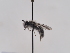  ( - TJW_580)  @11 [ ] nrr (2022) Unspecified Thomas Wood