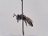  ( - TJW_630)  @11 [ ] nrr (2022) Unspecified Thomas Wood