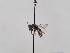  ( - TJW_638)  @11 [ ] nrr (2022) Unspecified Thomas Wood