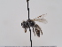  ( - TJW_657)  @11 [ ] nrr (2022) Unspecified Thomas Wood