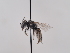  ( - TJW_658)  @11 [ ] nrr (2022) Unspecified Thomas Wood