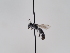  ( - TJW_659)  @11 [ ] nrr (2022) Unspecified Thomas Wood
