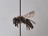  ( - TJW_725)  @11 [ ] nrr (2022) Unspecified Thomas Wood