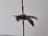  ( - TJW_727)  @11 [ ] nrr (2022) Unspecified Thomas Wood