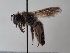  ( - TJW_734)  @11 [ ] nrr (2022) Unspecified Thomas Wood