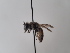  ( - TJW_735)  @11 [ ] nrr (2022) Unspecified Thomas Wood