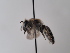  ( - TJW_741)  @11 [ ] nrr (2022) Unspecified Thomas Wood