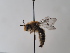  ( - TJW_754)  @11 [ ] nrr (2022) Unspecified Thomas Wood